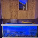 맛사랑 | [수원 코다리 탑동 권선구 생선구이 맛집] 박은자 맛사랑 탑동 직영점 솔직 후기