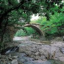 흥국사