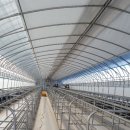 수현2농장 이미지