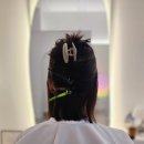 리나붙임머리