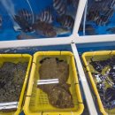 장목수산센타 이미지