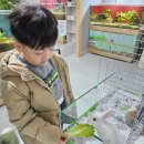다솜생태관 이미지