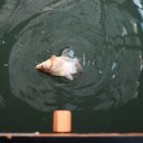 우명실내낚시터 이미지