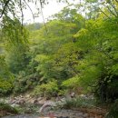 국도여관 이미지