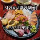 사이쵸세카이 | 생일 디너로 딱이었어요 ✨ 일본 감성 가득했던 배곧 이자카야 사이쵸세카이 내돈내산 솔직 후기 🍶