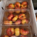 홍백농장 이미지