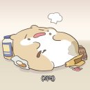 두루밍 | 바쁘다바빠 연말