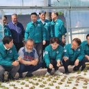 털보축산 이미지