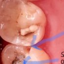 서울한마음치과의원 이미지