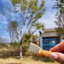 춘천 레고랜드 후기 2: 시티 레스토랑 메뉴, 카이즈 애플 프라이즈, 수유실 정보