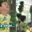 서준푸드 이미지