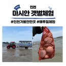 인천 영종도 마시안 갯벌체험장 갯벌체험 물때 준비물 꿀팁