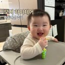 모지 | 모지 예삐 하이체어 내돈내산 후기｜초기 이유식부터 중기 이유식까지 써보니