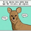 한없이 예민한 아기고라니 BRTC 물먹 선크림 후기 이미지