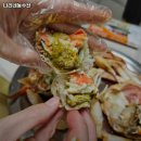 완도농수산 | 팔달역 맛집 나리네농수산 솔직후기｜맛·가격·영업시간·주차까지 정리!