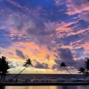 디로버스테이 | 리젠트 푸꾸옥 가격, 1년에 3번 방문한 후기 (Feat.최고급 객실 서비스 및 조식) -1