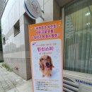 디어댕댕 네이버블로그