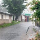 목화다방 이미지