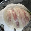 선매운탕 | 매운탕먹다 생선가시 목에 걸려 대학병원까지 간 일상 후기