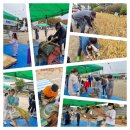 신방초등학교 이미지