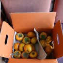 윤슬약국 이미지