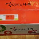 햇님달님농원