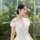 고센 이미지