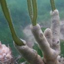 남해-308 이미지