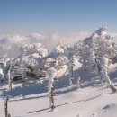 제주유유자적 이미지