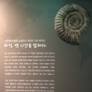보령석탄박물관 네이버블로그