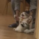 휴무전날 이미지