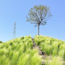 플랜트827