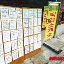 원직업소개소 국민일보