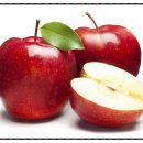 굿바디핏 이미지