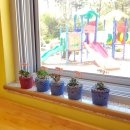 송학초병설유치원 이미지