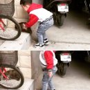 꼬마강아지 이미지