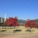 동학농민혁명 기념공원 공중화장실 (공원) | 가을 단풍과 예술이 만나는 내장산 조각공원 &amp; 전봉준 공원 탐방