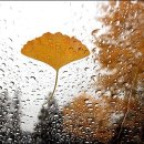 은행자동차(주) 이미지