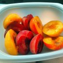 일상과 다이어트 식단 (컵누들투움바, 정선 여행, 대부도 여행, 바베큐, 양갈비, 피자플리즈, 오션뷰카페)