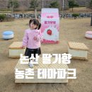 2025년 논산 딸기축제 딸기향농촌테마파크 방문