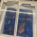 신대동물병원 | [공지] [순천 조개창고] 신대 조개 구이 &amp; 고기 무한리필 (상세사진 / 솔직후기 / 신대지구 술집)