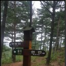 금광초등학교 이미지