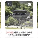 단비 이미지