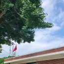 공기1리마을 이미지