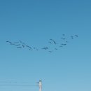 저수지상회 이미지