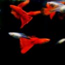 구월공방 이미지