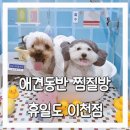 우노한의원 | 하루가 부족한 진짜 이유! 반려견 동반 찜질방 휴일도 이천점 후기,예약꿀팁