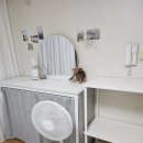 뚜레쥬르 부산중앙대로점