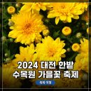 한밭마을 | 대전 여행 - 2024 대전 한밭 수목원 가을꽃 축제 일부 현장 탐방