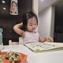 그레이트 | 18개월 아기 내돈내산 자연관찰전집 추천 그레이트북스 놀라운자연 후기